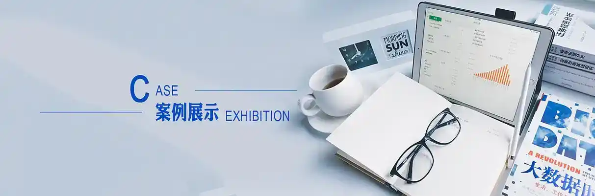 江城哈尼族彝族自治县软件开发